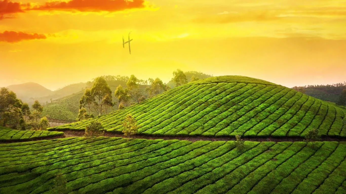 Best Of Kerala